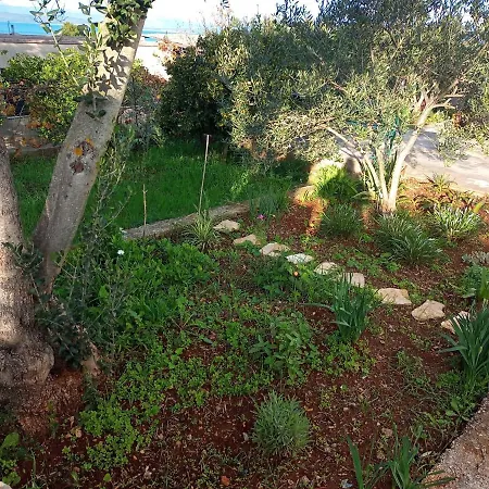 Apartment By The Sea Necujam, Solta - 21776 Grohote