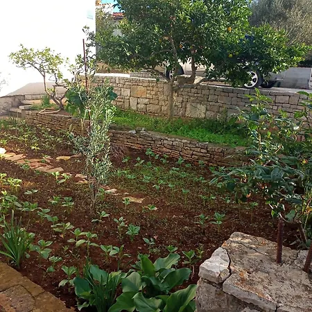 Apartment By The Sea Necujam, Solta - 21776 Grohote